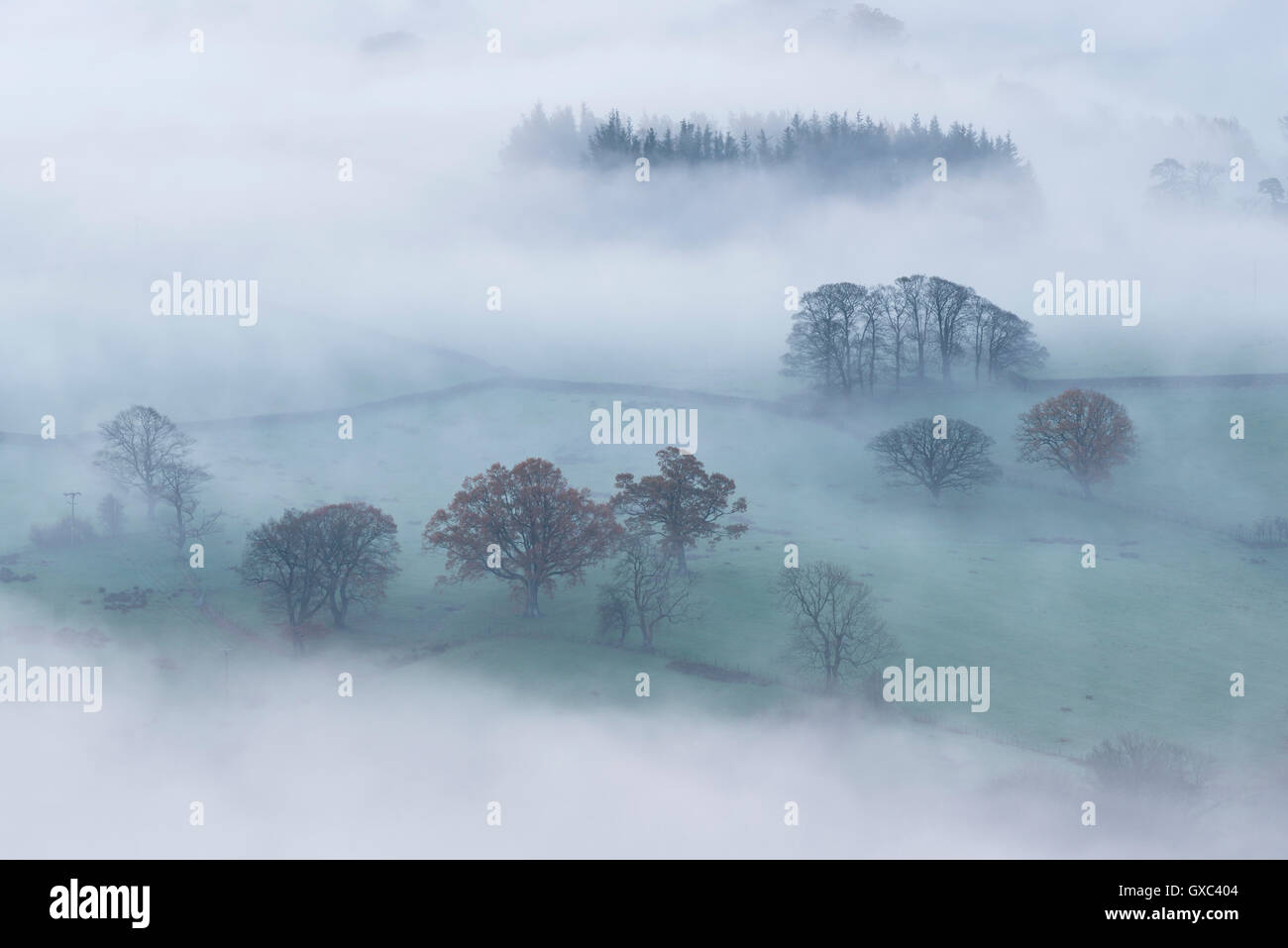 Nebel bedeckt Hügellandschaft an der Dämmerung, Lake District, Cumbria, England. Herbst (November) 2014. Stockfoto