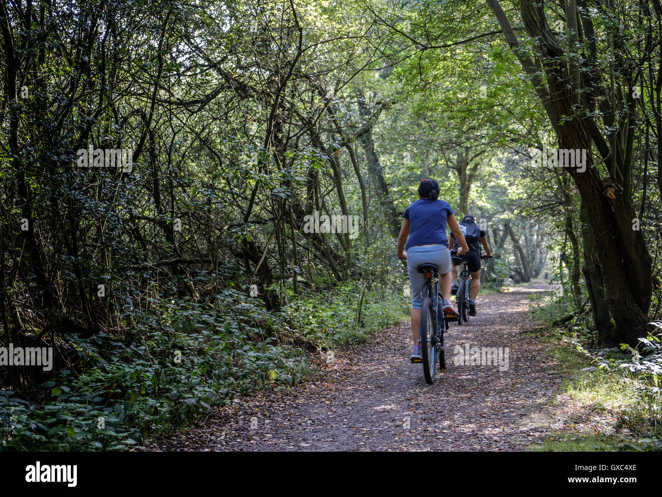 Mountainbike-Strecken an Pooley Country Park Stockfoto