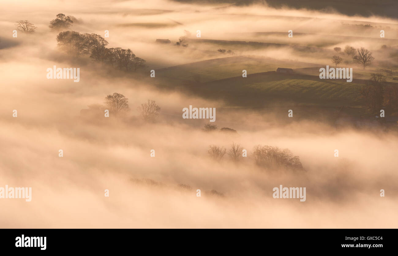 Nebel bedeckt hügelige Ackerland bei Dämmerung, Lake District, Cumbria, England. Herbst (November) 2014. Stockfoto