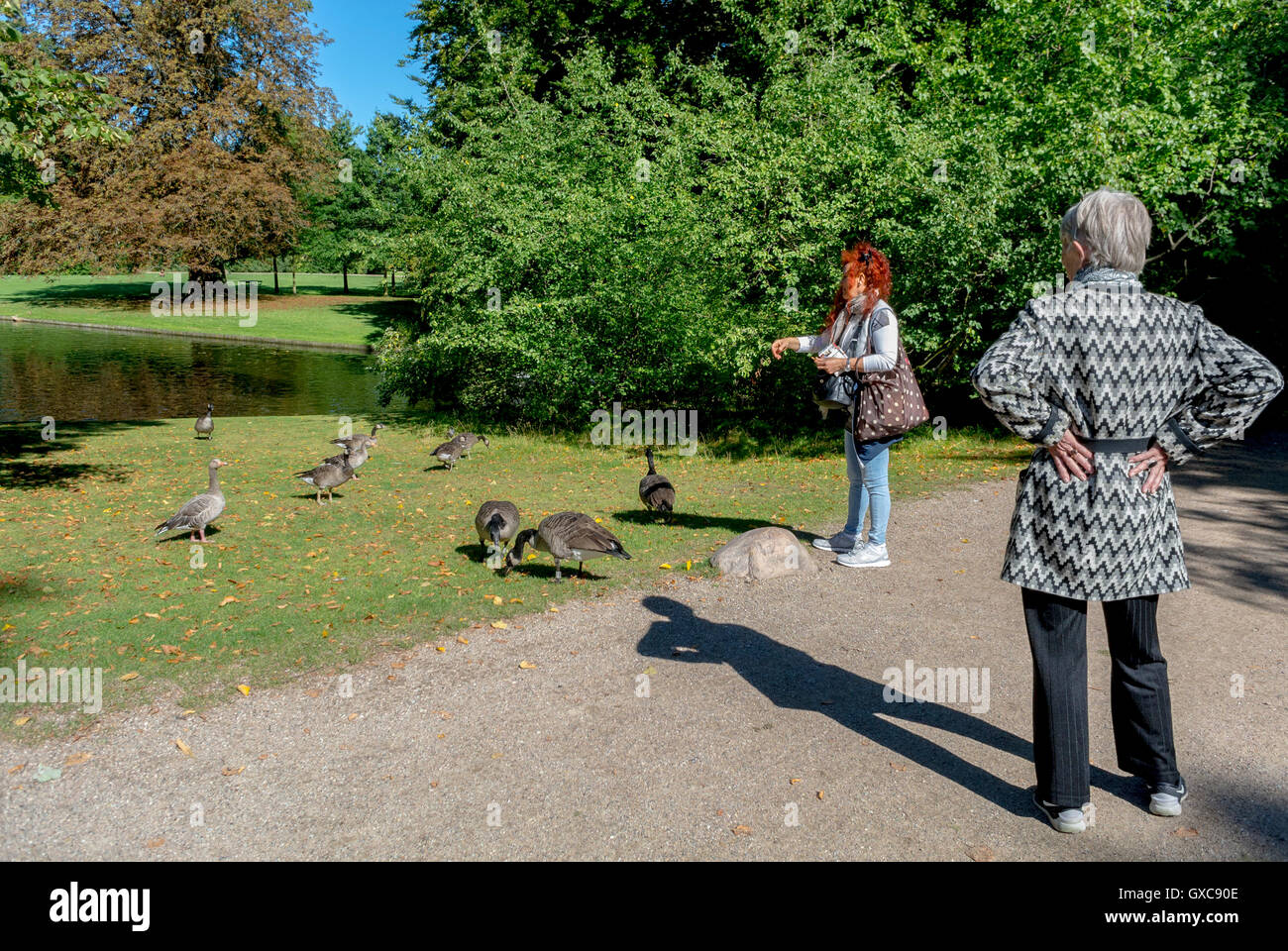Kopenhagen, Dänemark, Dänische Frauen, die im Freien leben, Enten füttern im Frederiksberg Park, Tiere in der Stadt europa Stockfoto