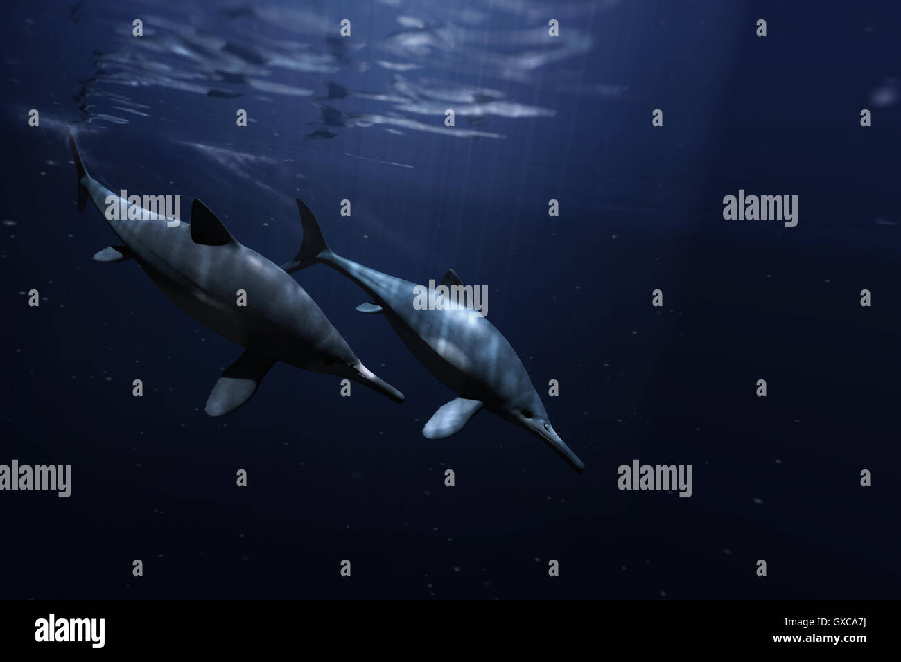 Ichthyosaurus Stockfotos und bilder Kaufen Alamy