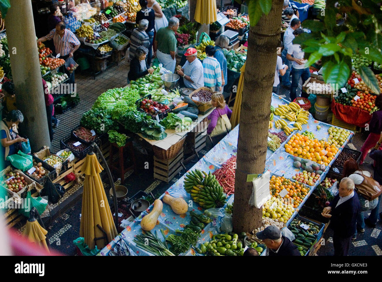 Markt, Funchal auf der portugiesischen Insel Madeira im Atlantischen Ozean Stockfoto