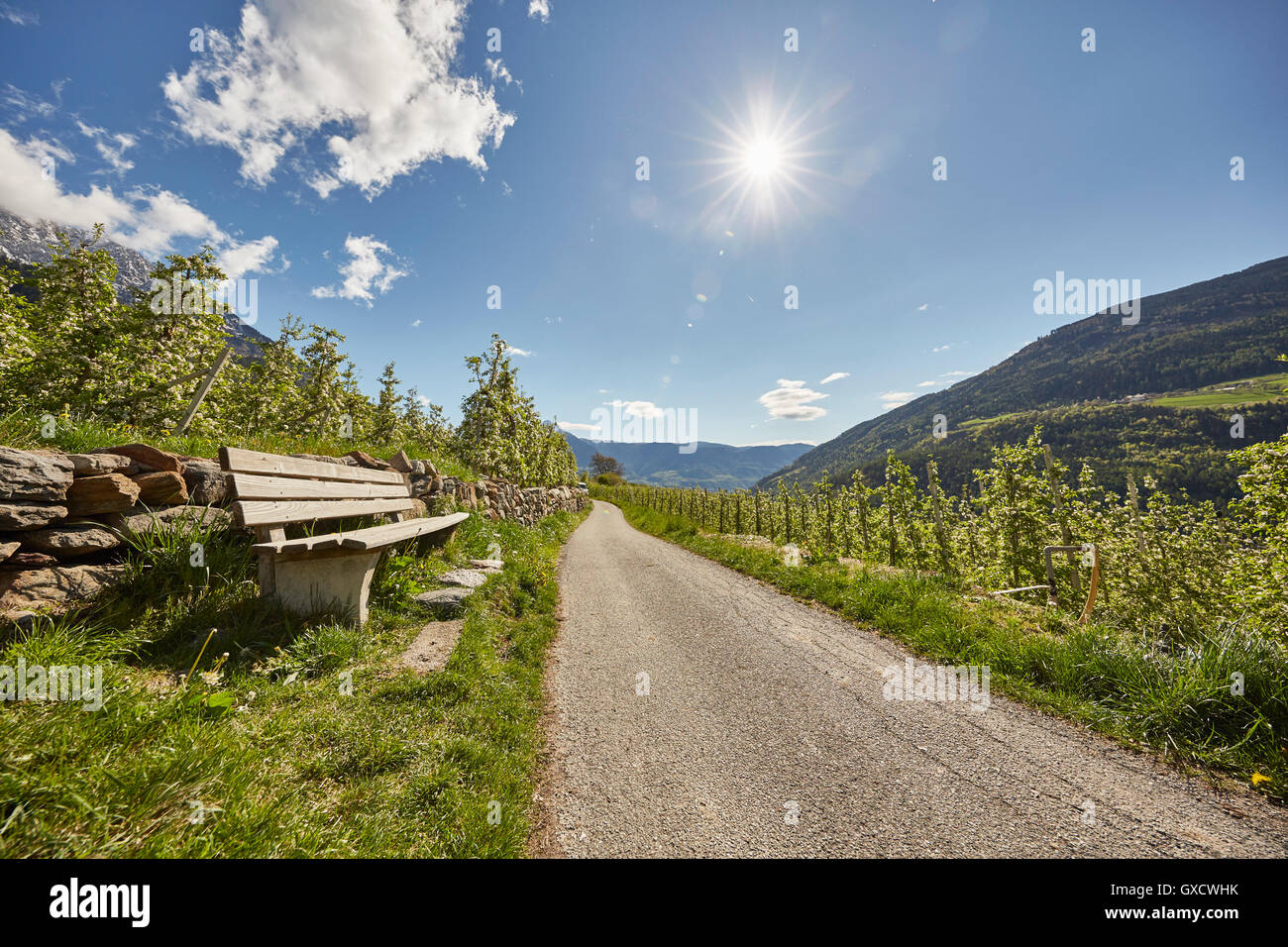 Bank neben der Straße, Meran, Südtirol, Italien Stockfoto