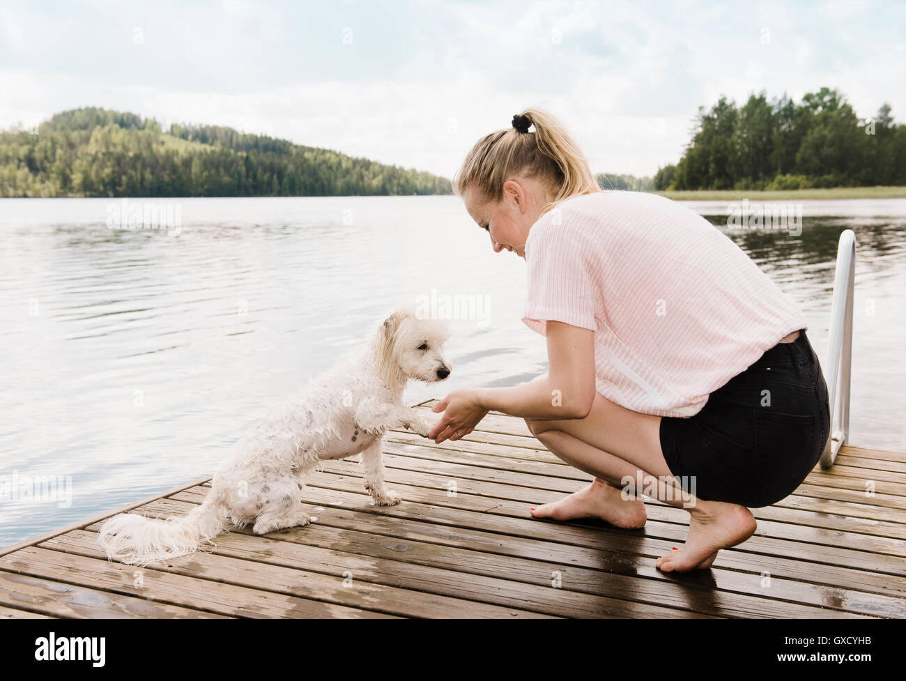 Frau mit Coton de Tulear Hundepfote nach dem Schwimmen, Orivesi, Finnland Stockfoto