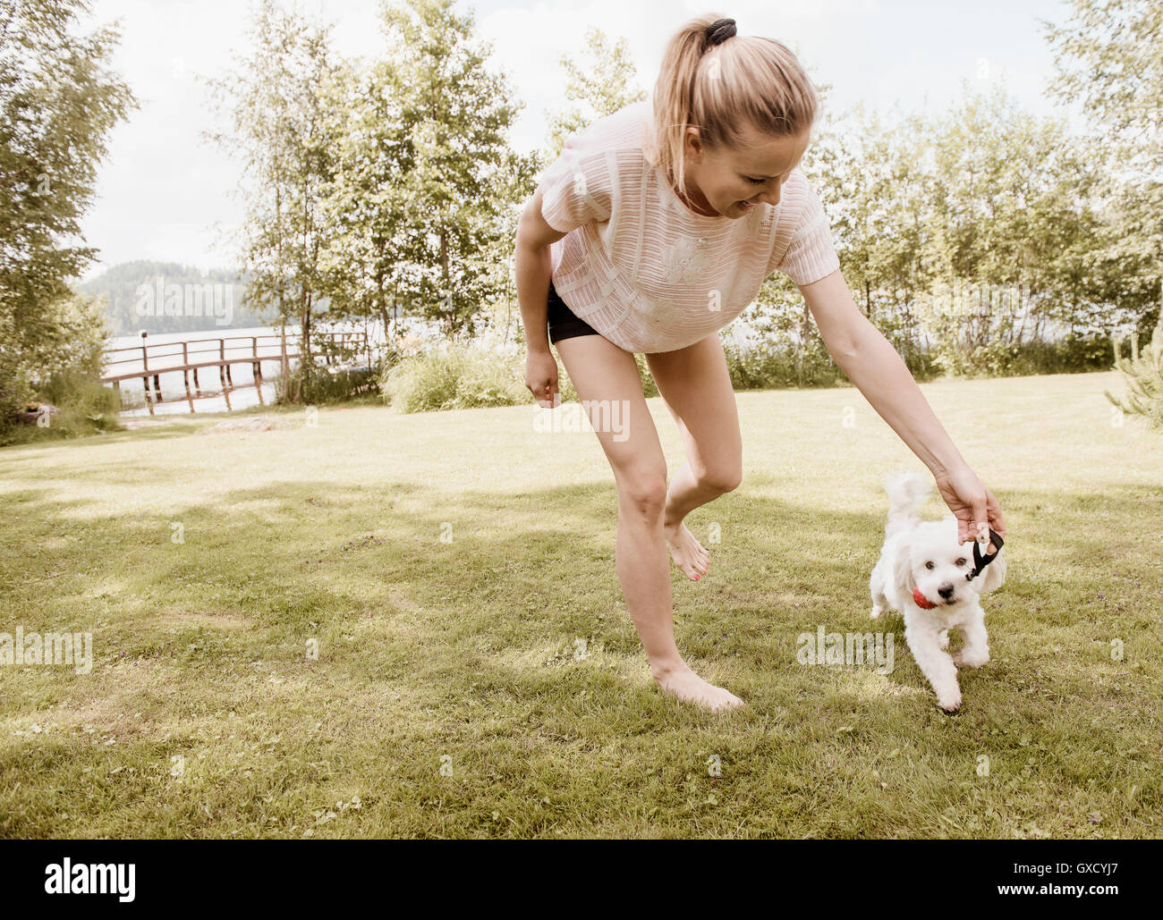 Frau spielt im Garten mit Coton de Tulear Hund, Orivesi, Finnland Stockfoto