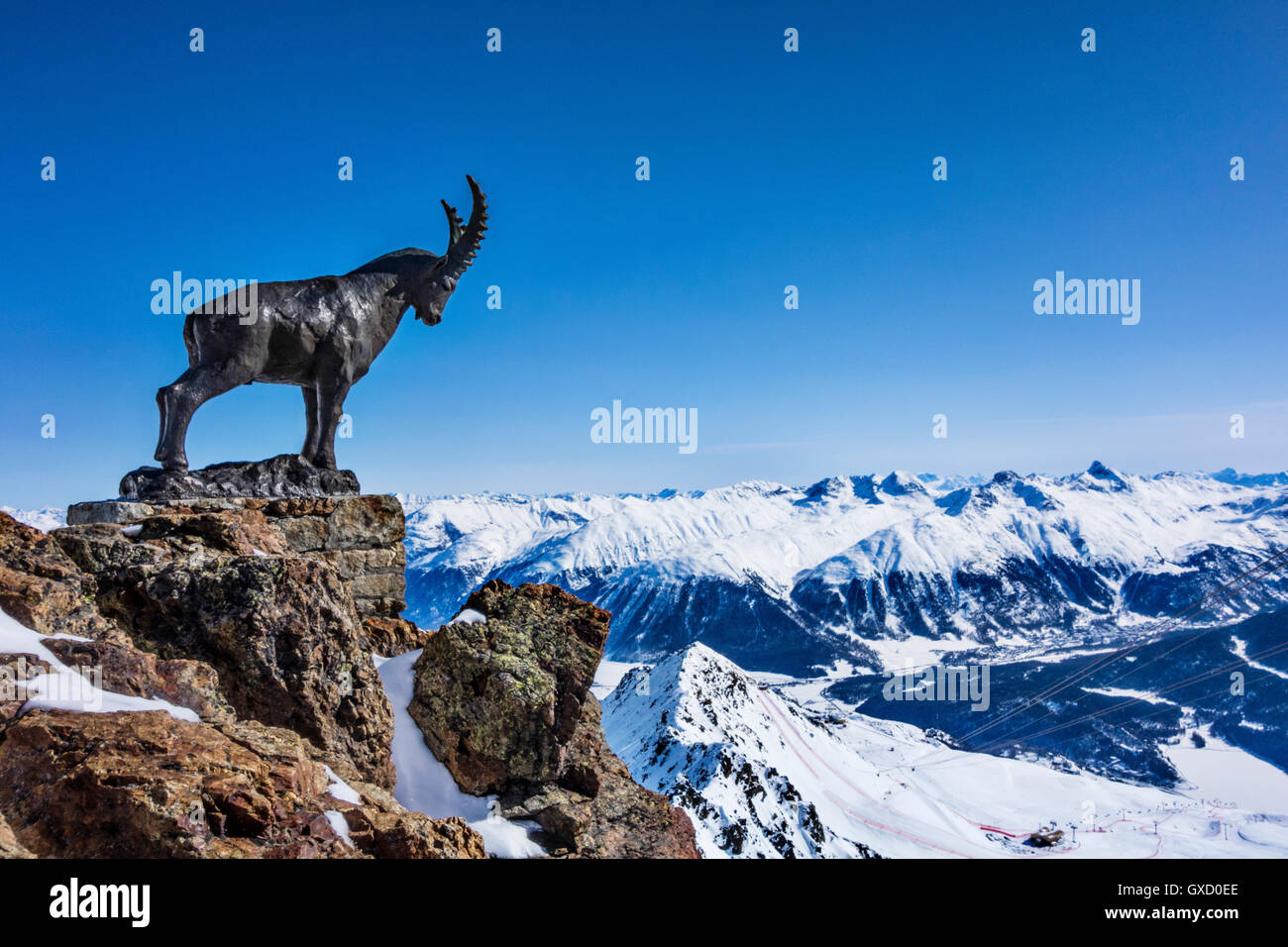 Bergziege-Statue auf Bergrücken im Schnee bedeckt Berge, Sankt Moritz, Engadin, Schweiz Stockfoto