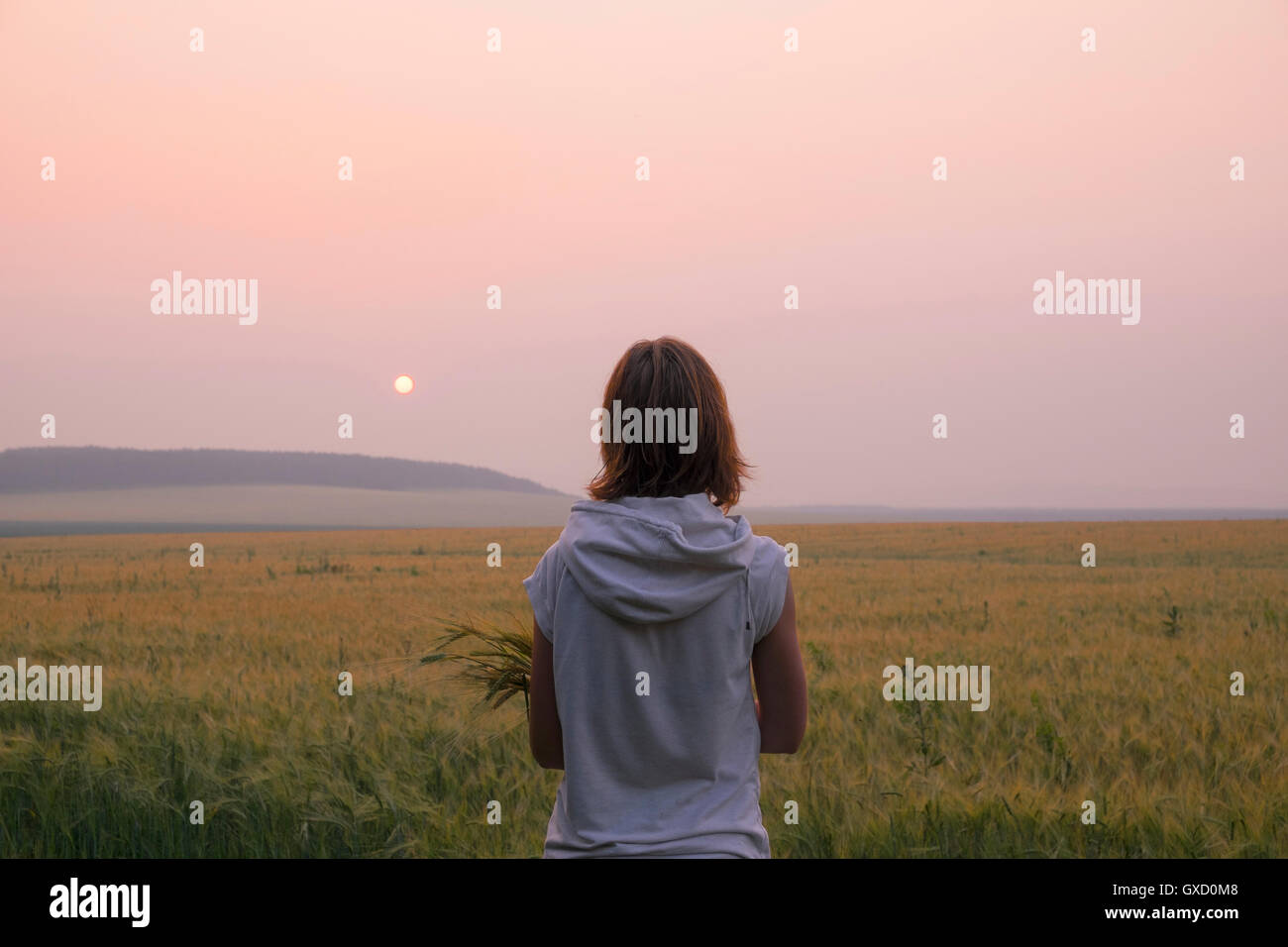 Frau im Feld beobachten Sonnenuntergang, hintere Ansicht, Ural, Russland Stockfoto