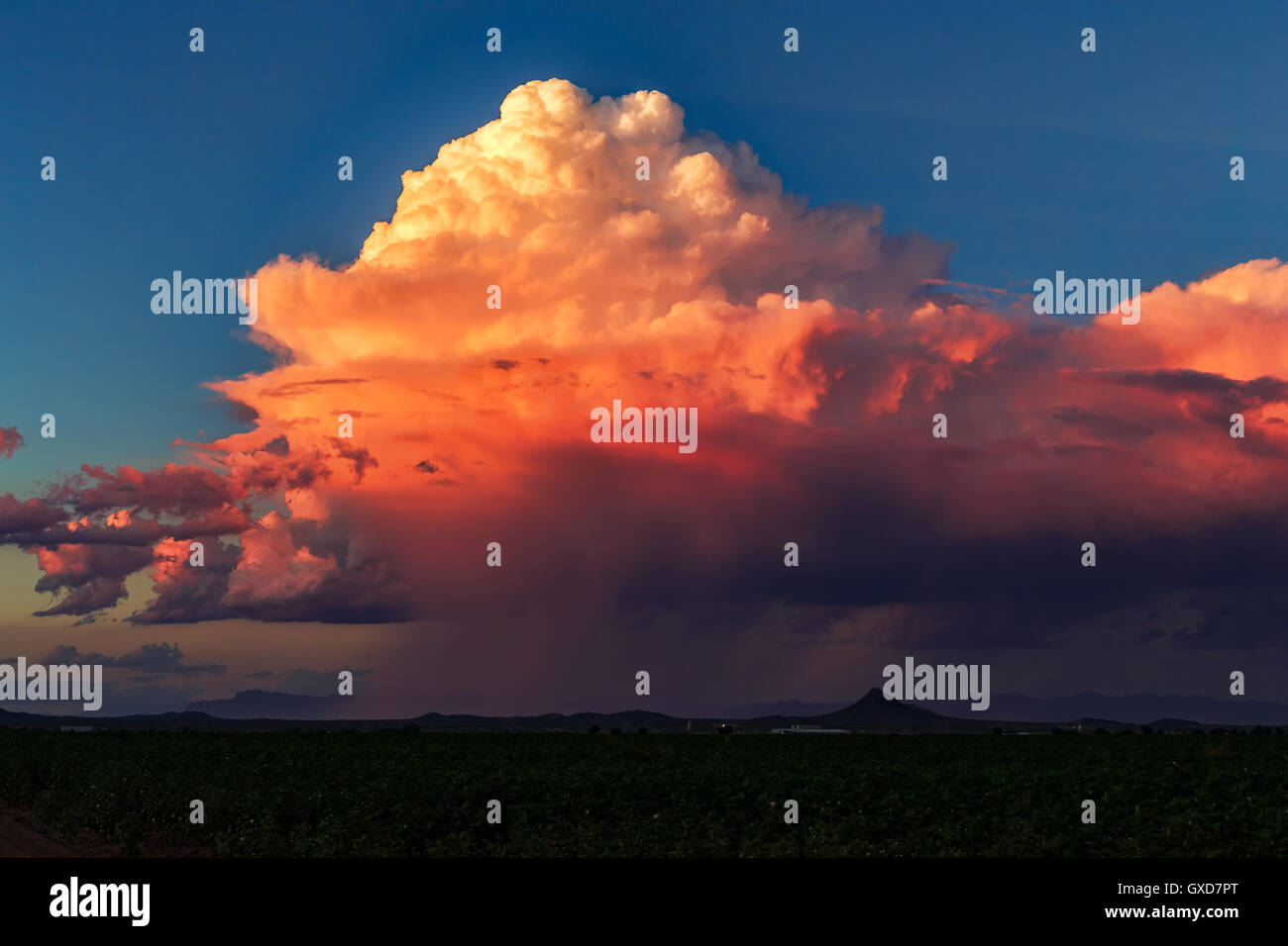 Wunderschöner Sonnenuntergang Himmel mit Sturmwolken, die dramatisches Licht in Phoenix, Arizona reflektieren Stockfoto