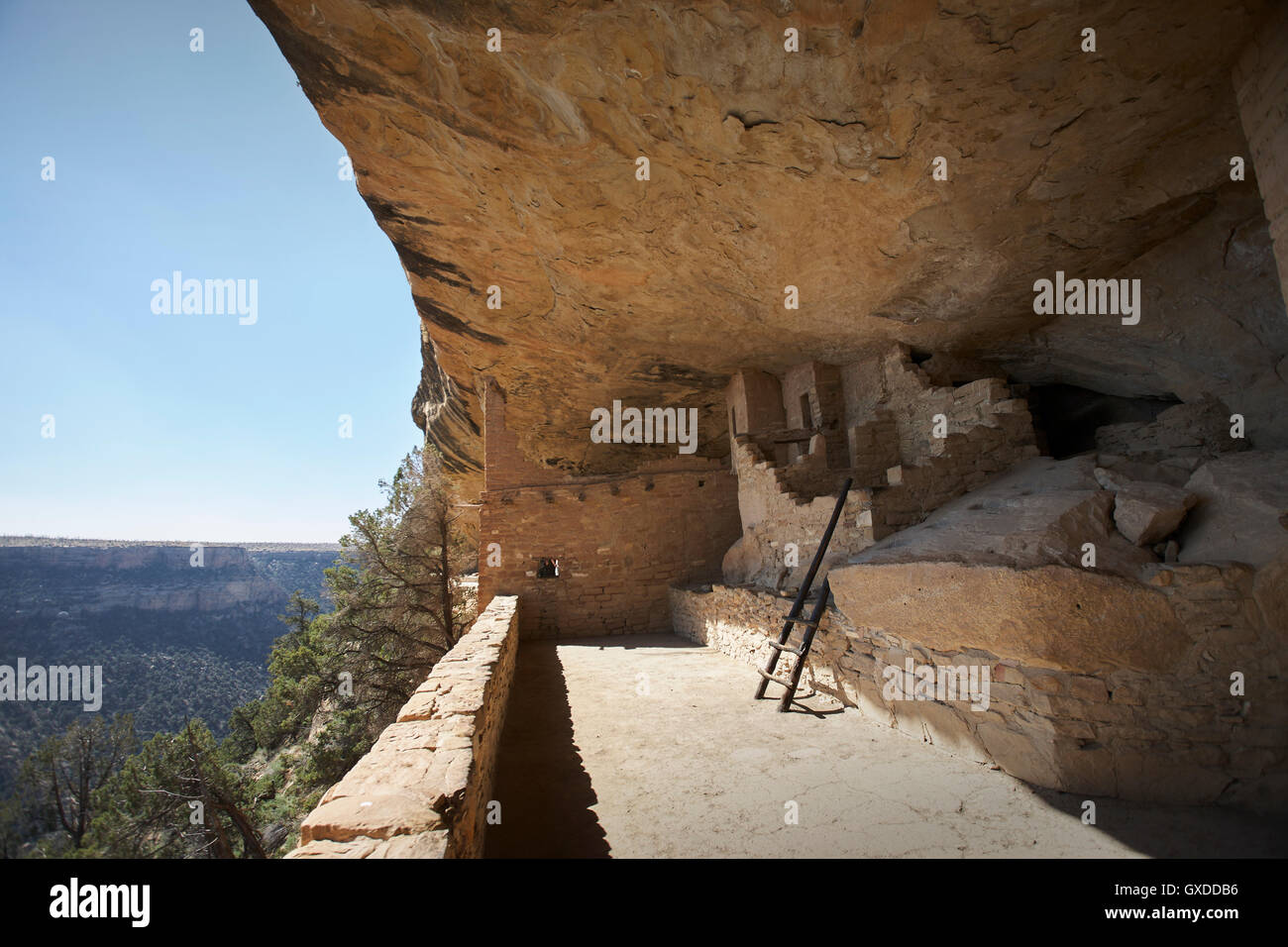Rock Wohnung Ruinen in Mesa Verde Nationalpark, Colorado, USA Stockfoto