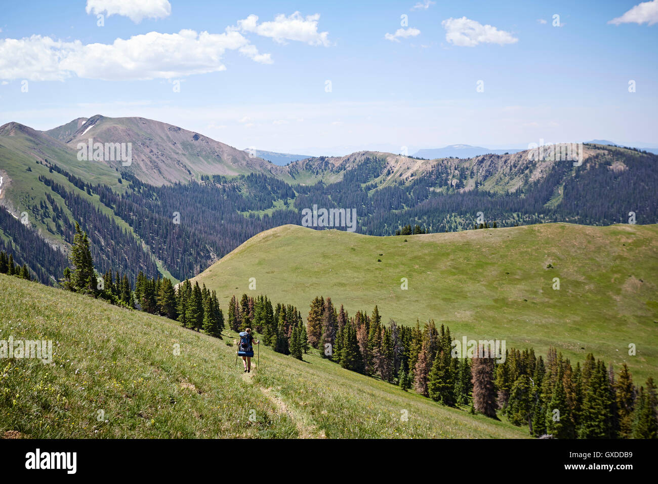 Weibliche Backpacker Wandern Landschaft trail, nie Sommer Wildnis, Colorado, USA Stockfoto