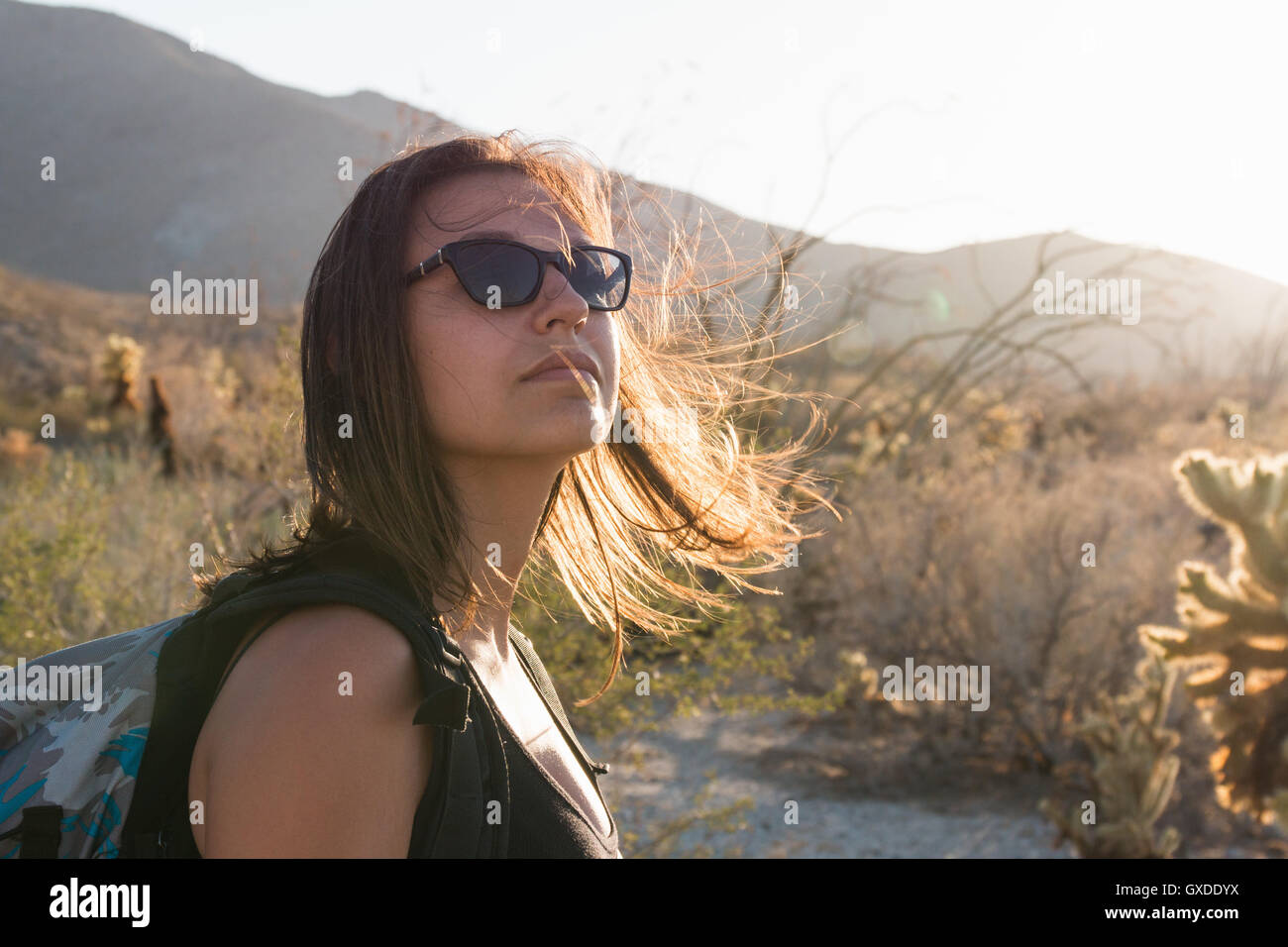 Frau mit Sonnenbrille Wandern, Anza Borrego, Kalifornien, USA Stockfoto