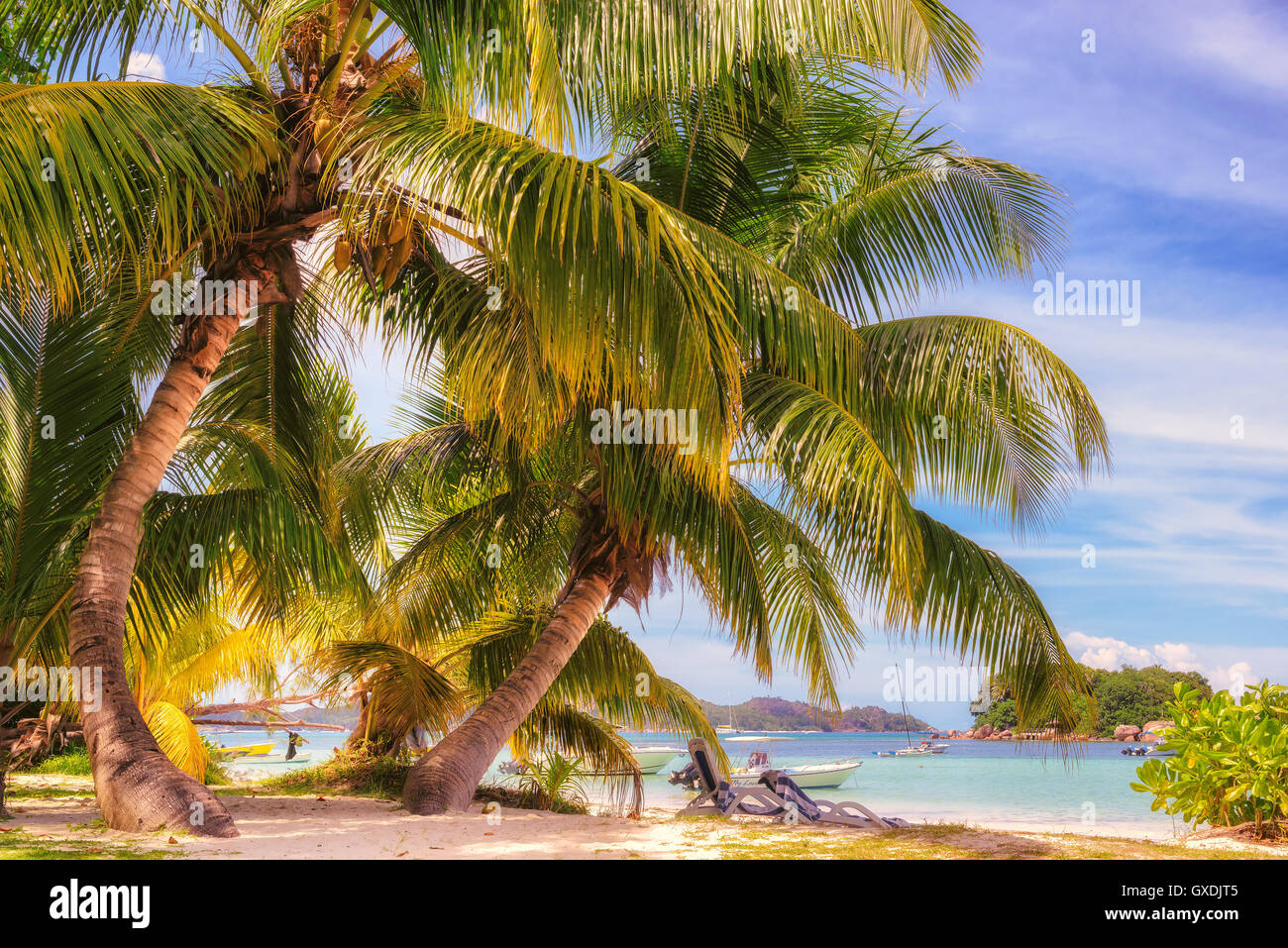 Beach auf der tropischen Insel. Stockfoto