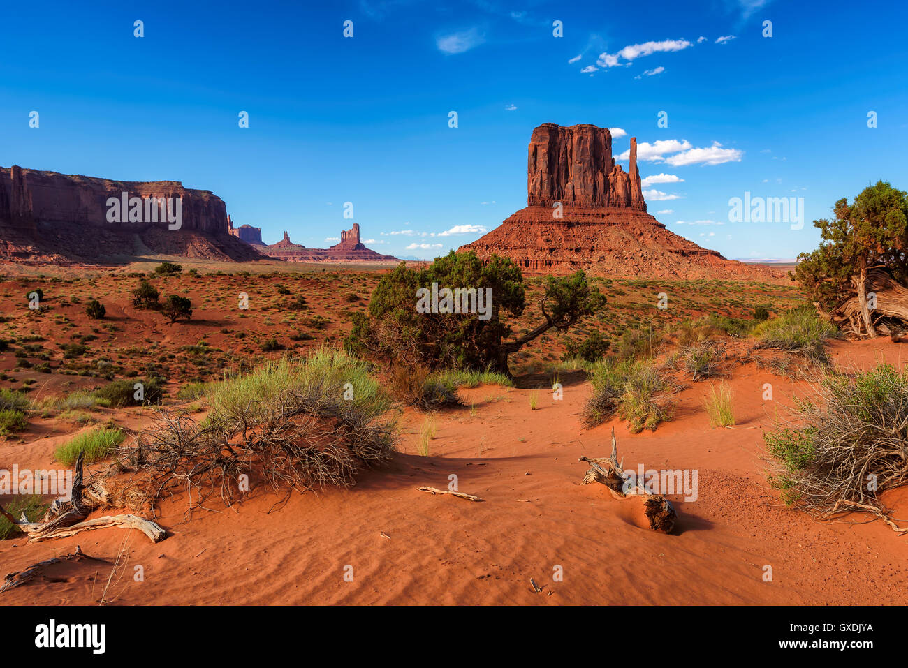 Roten Sanddünen im Monument Valley, Utah, USA Stockfoto