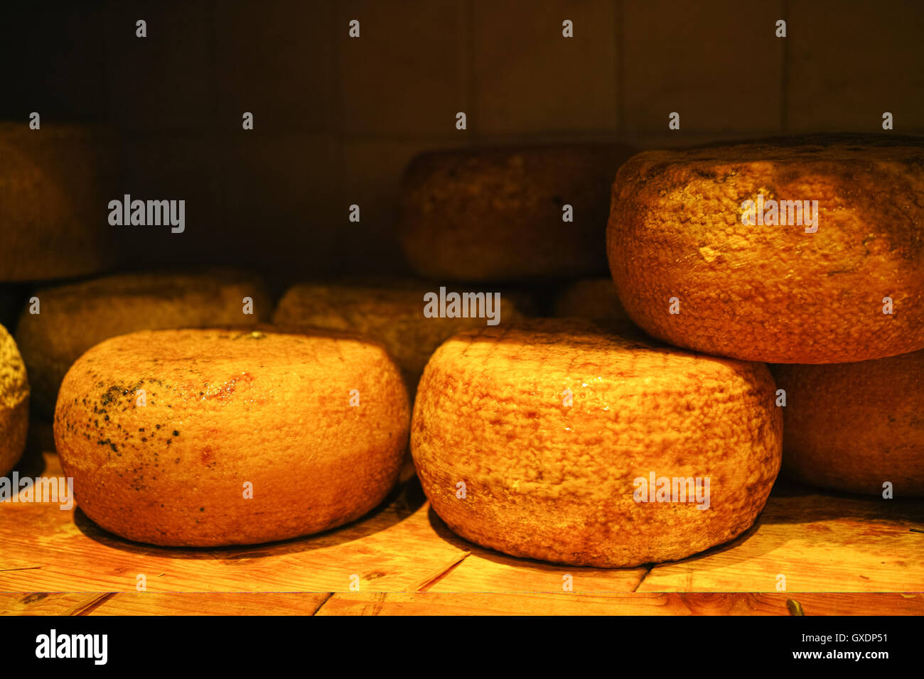 Typischen toskanischen Pecorino-Käse in Pienza, Italien Stockfoto