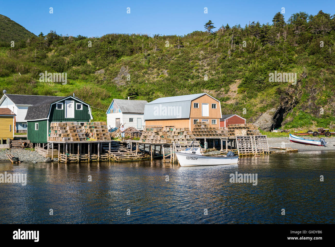 Hafen, Angelboote/Fischerboote und bunten Fischen Phasen Forellenfluss, Neufundland und Labrador, Kanada. Stockfoto