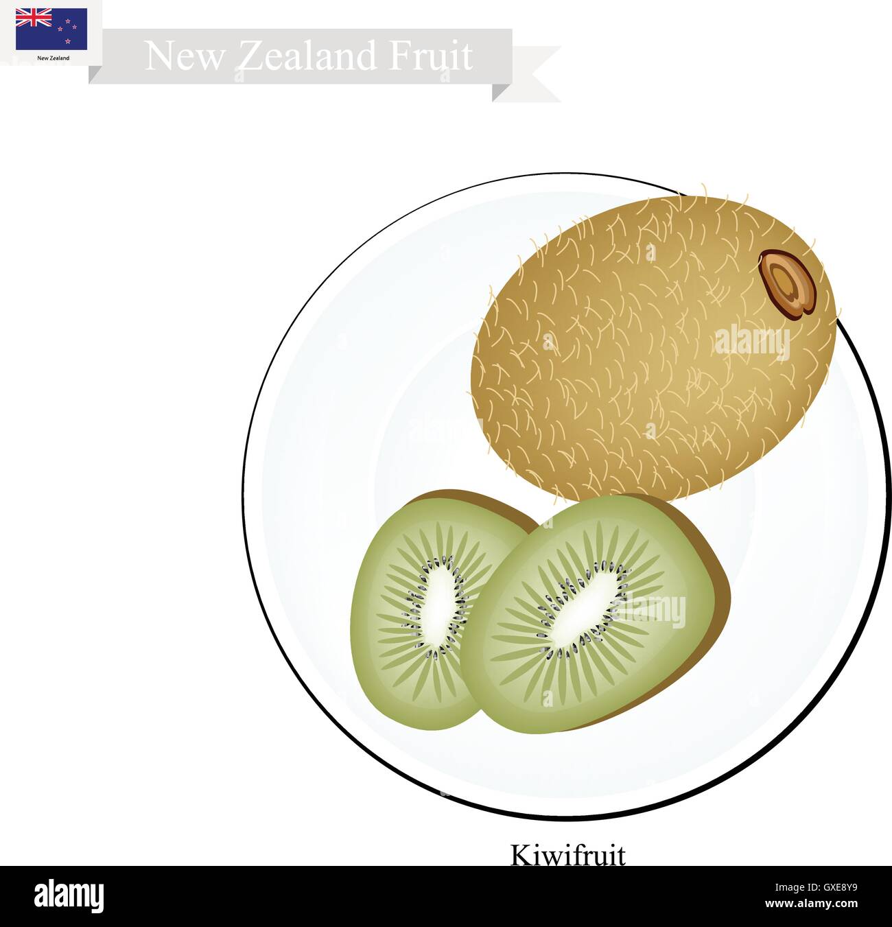 New Zealand Frucht, Darstellung der Kiwis oder Chinesische Stachelbeere. Eine der beliebtesten Früchte in Neuseeland. Stock Vektor