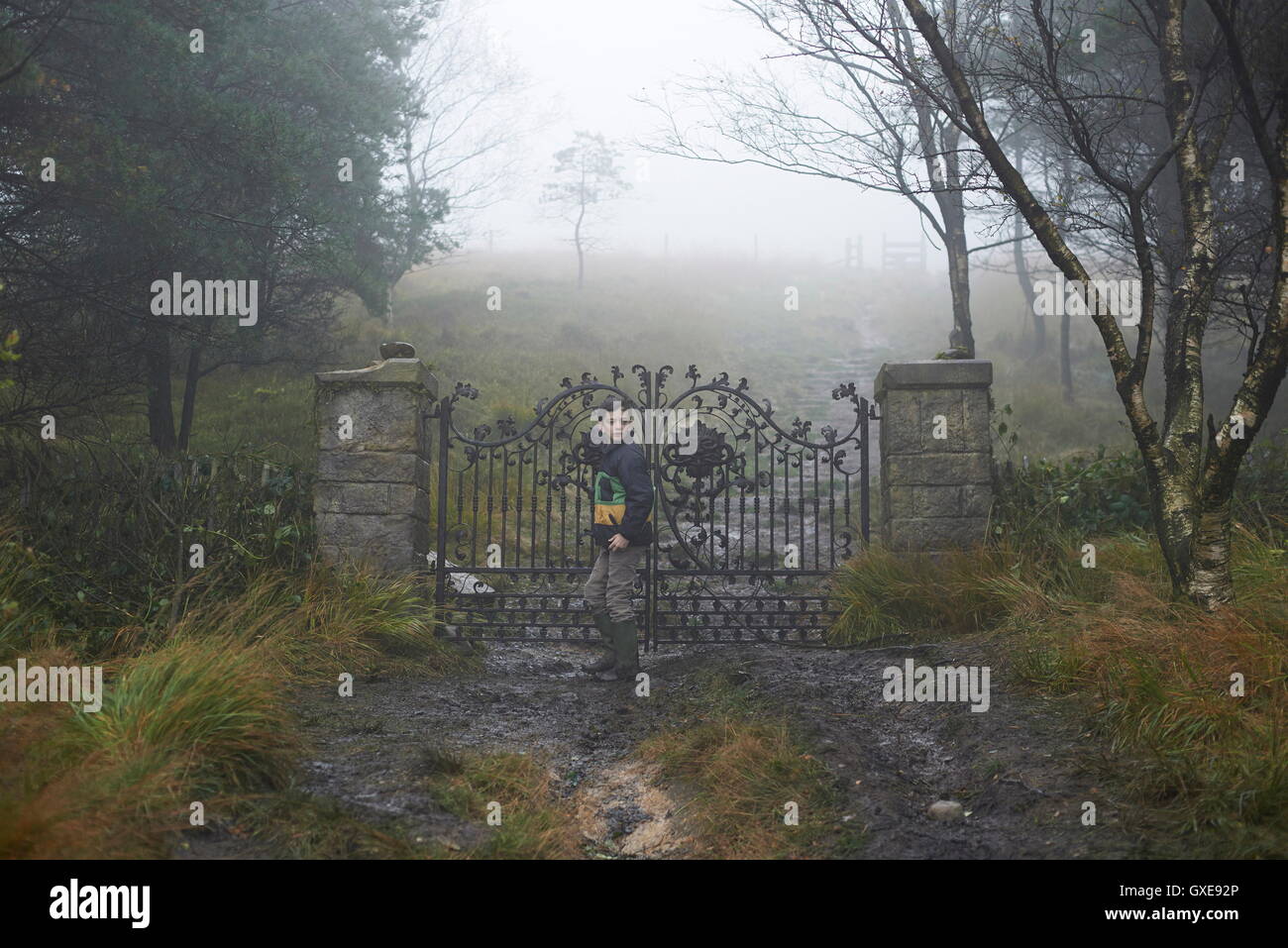 Erscheinungsdatum: 6. Januar 2017 Titel: A Monster Calls STUDIO: River Road Entertainment Regie: J.A. Bayona PLOT: ein Junge sucht Hilfe bei einem Baum-Monster mit seiner alleinerziehenden Mutter unheilbaren Krankheit zu bewältigen Darsteller: Lewis Macdougall als Conor. (Credit: C River Road Entertainment/Unterhaltung Bilder /) Stockfoto