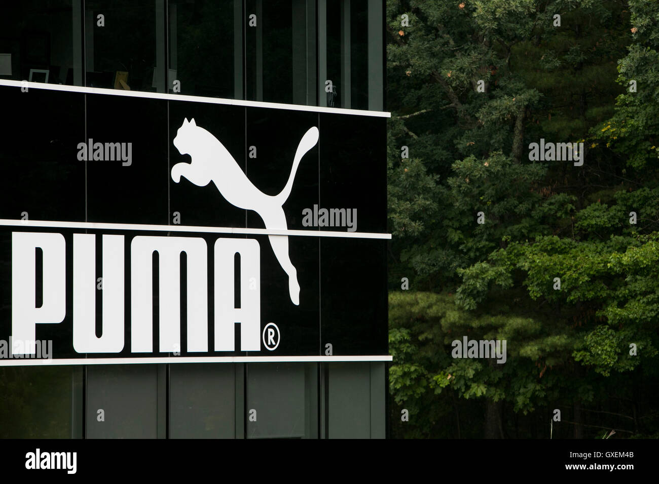 Ein Logo Zeichen außerhalb der Hauptsitz von Puma North America, Inc., in Westford, Massachusetts am 13. August 2016. Stockfoto