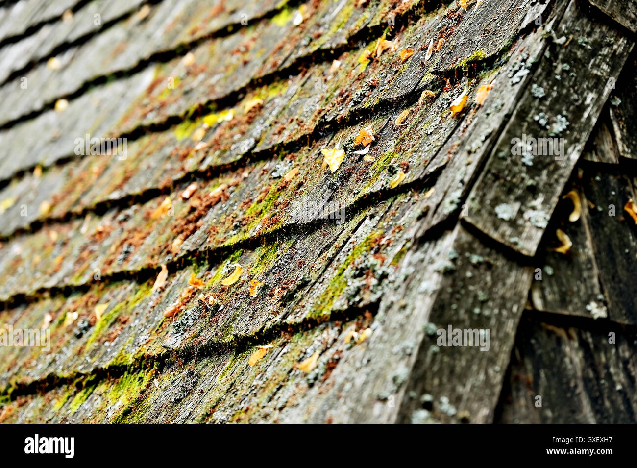 Architektur Detail mit alte und verwitterte Holz Dachziegel Stockfoto