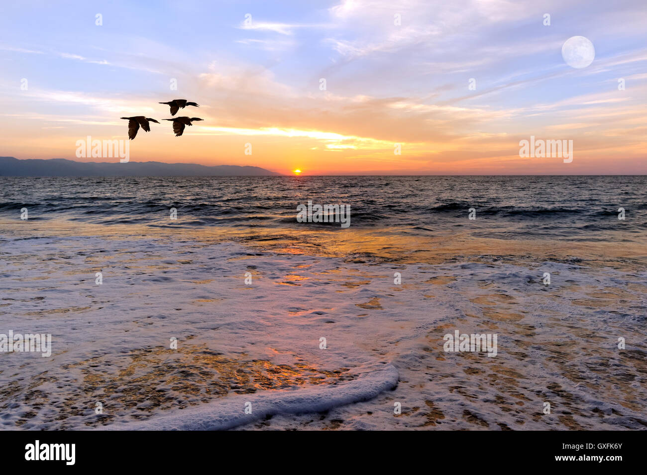 Sonnenuntergang Meer Vögel ist drei Silhouette Vögel fliegen über den Ozean, wie die Sonne am Horizont untergeht und der Vollmond in th steigt Stockfoto