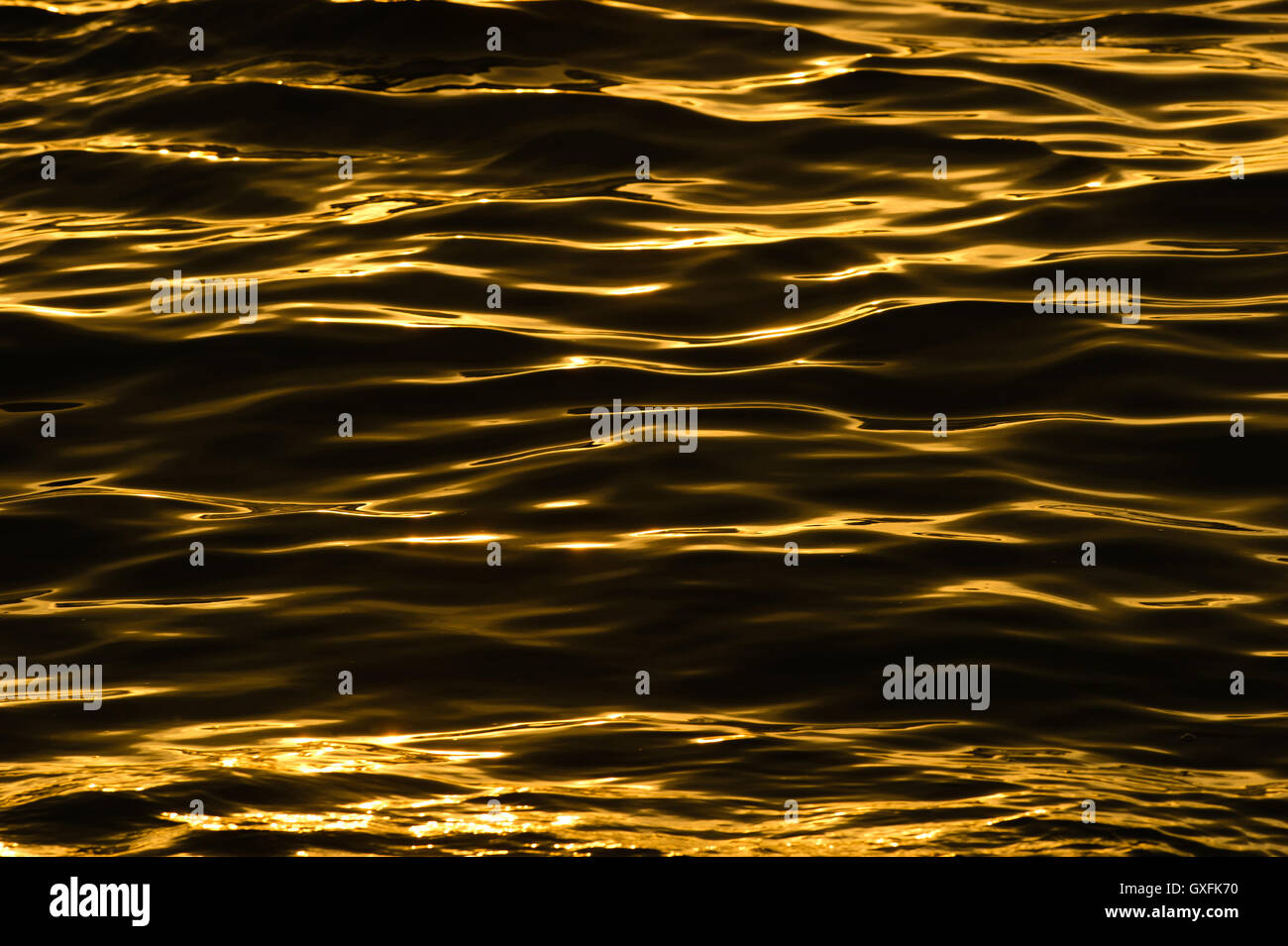 Wasserwellen ist ein goldenes Sonnenlicht reflektieren aus Meerwasser. Stockfoto