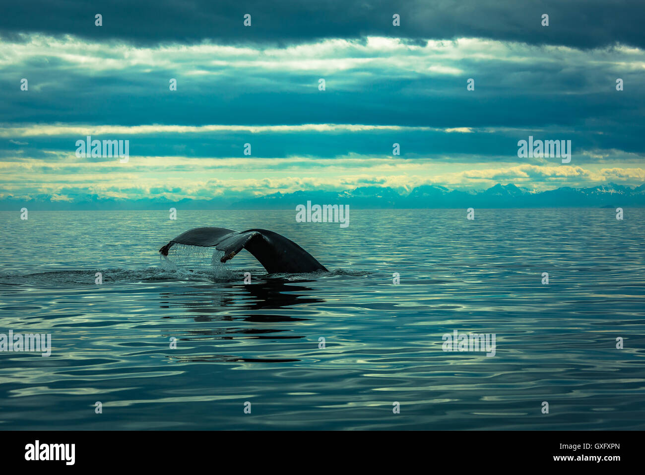 Sicherheit Bay, Südost-Alaska. Stockfoto