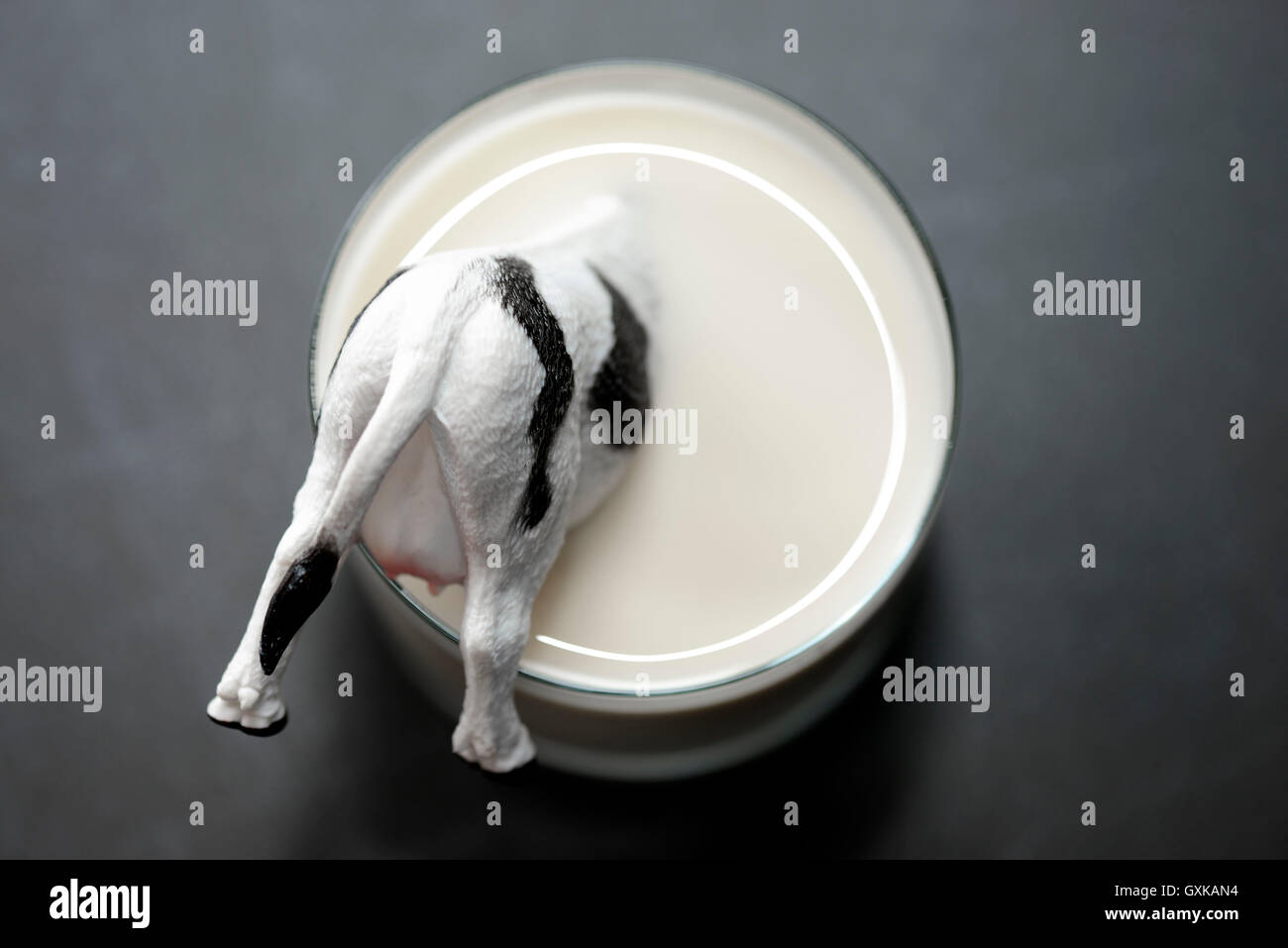Miniaturkuh Versinkt in Einem Milchglas, Niedrige Milchpreise Stockfoto