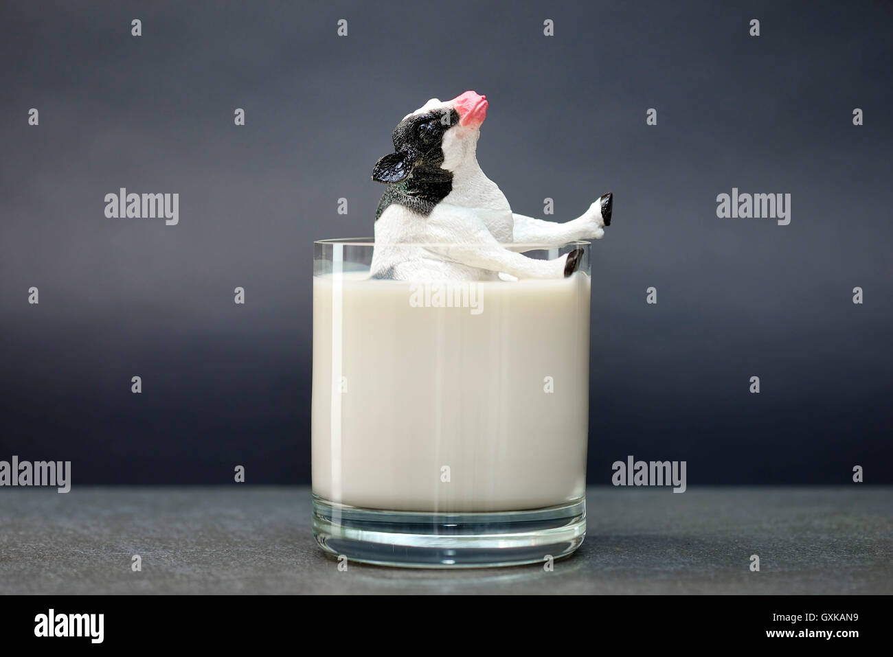 Miniaturkuh Versinkt in Einem Milchglas, Niedrige Milchpreise Stockfoto