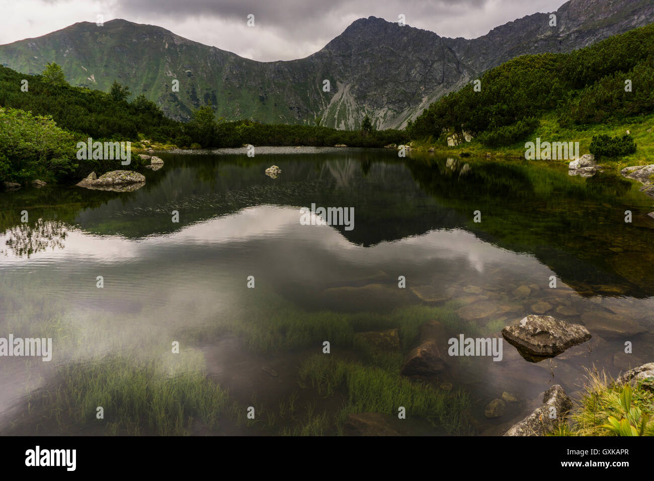 Schöne saubere See in der hohen Tatra in der Slowakei Stockfoto