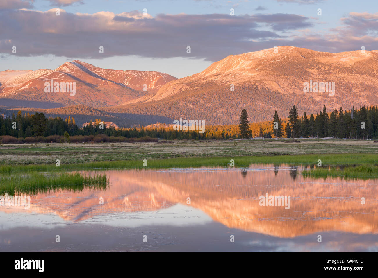 Tuolumne Meadows bei Sonnenuntergang, Yosemite-Nationalpark, Kalifornien, USA. (Juni) Frühjahr 2015. Stockfoto