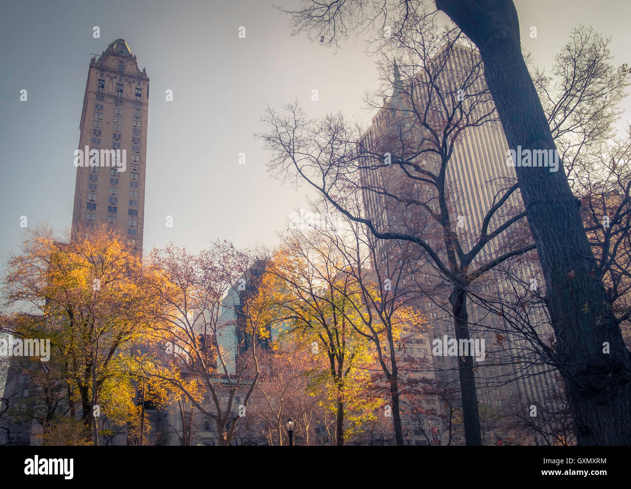Ein Blick auf Gebäude der Fifth Avenue, New York, aus einer anderen Perspektive. Stockfoto