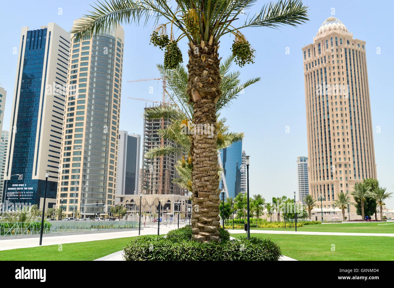 Palme in der Mitte das Bankenviertel West Bay Doha, Katar Stockfoto