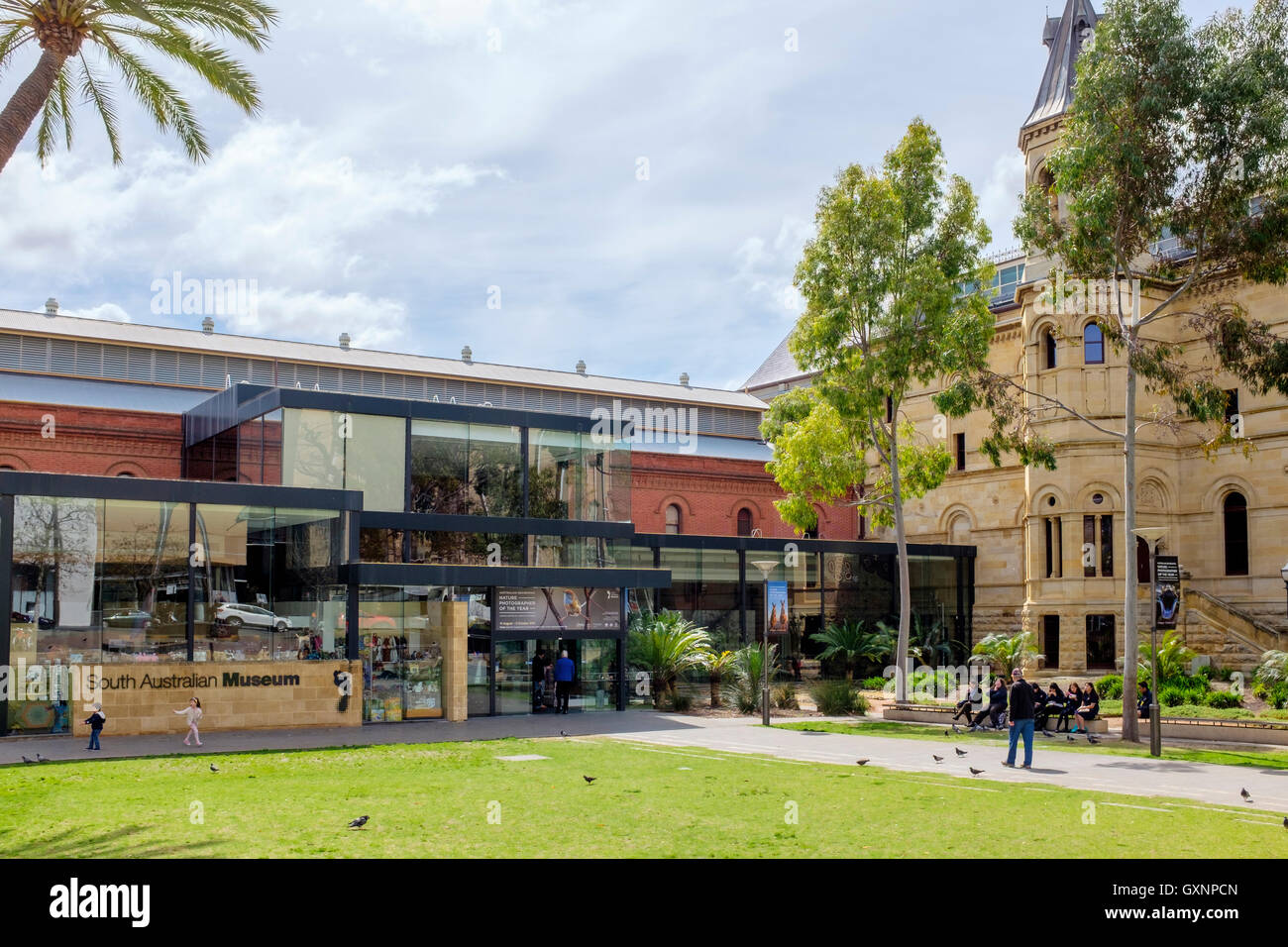 Außenseite des South Australian Museum in North Terrace Adelaide Stockfoto