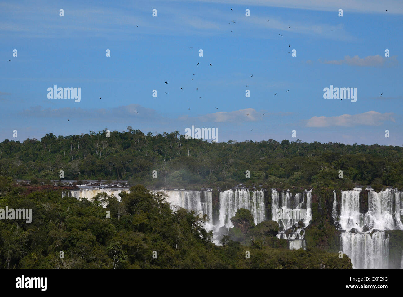 Iguazu Wasserfall Stockfoto