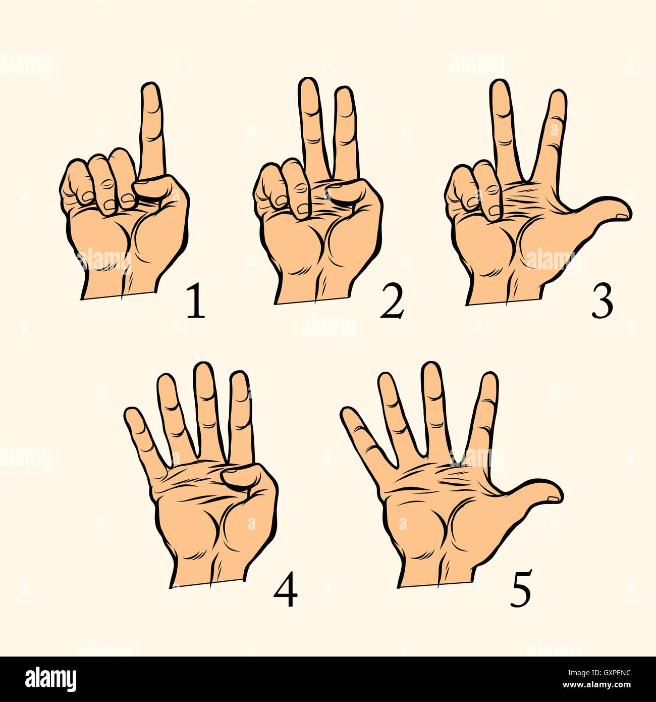 Satz von Hand Gesten zählen 1 2 3 4 und 5 Stock Vektor