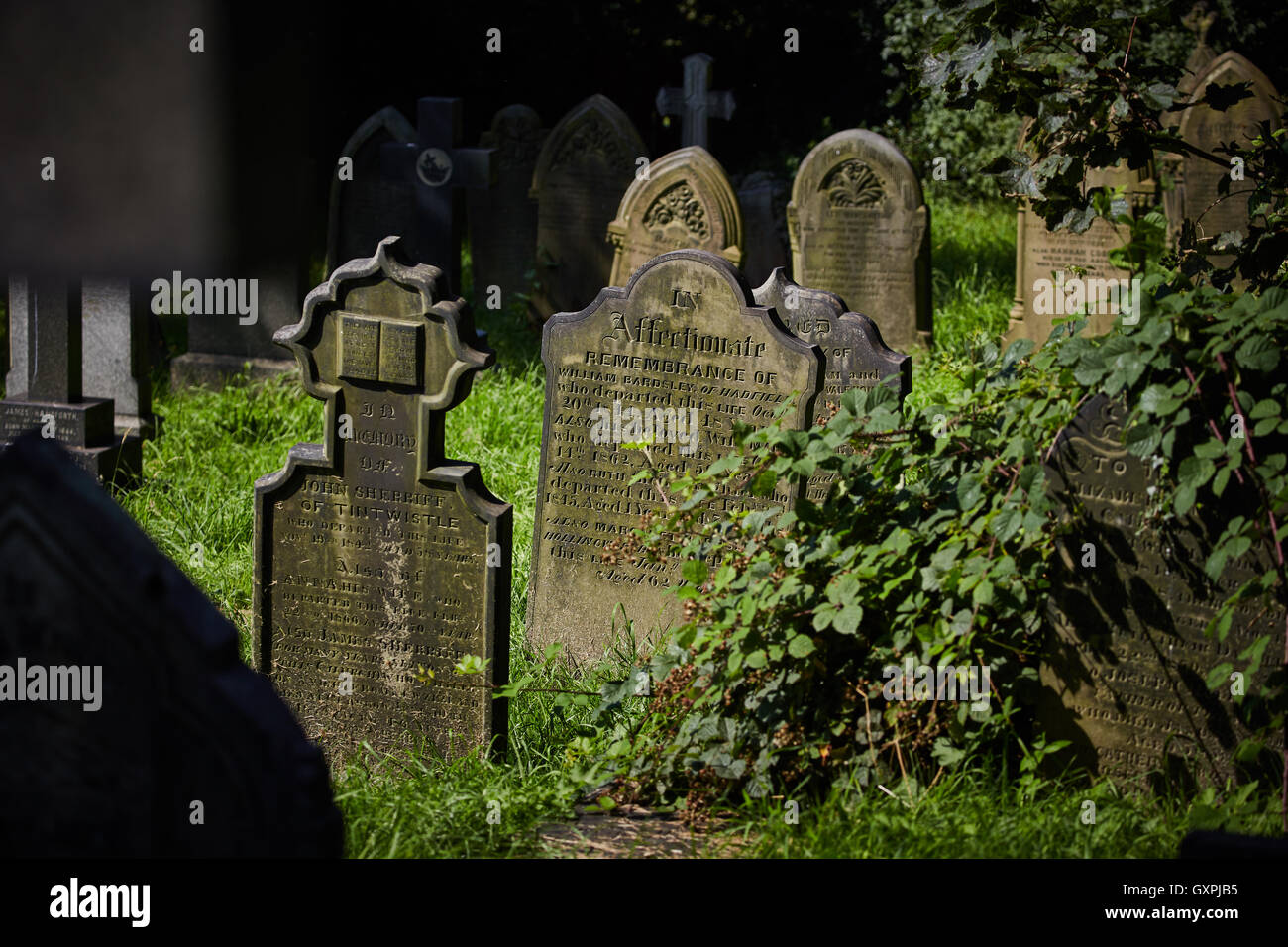 UK Friedhof Friedhof Gedenksteine Grab overdrove schlechten Wartung alte überdachte Unkraut bleibt Grabsteine verstorbenen Menschen b Stockfoto