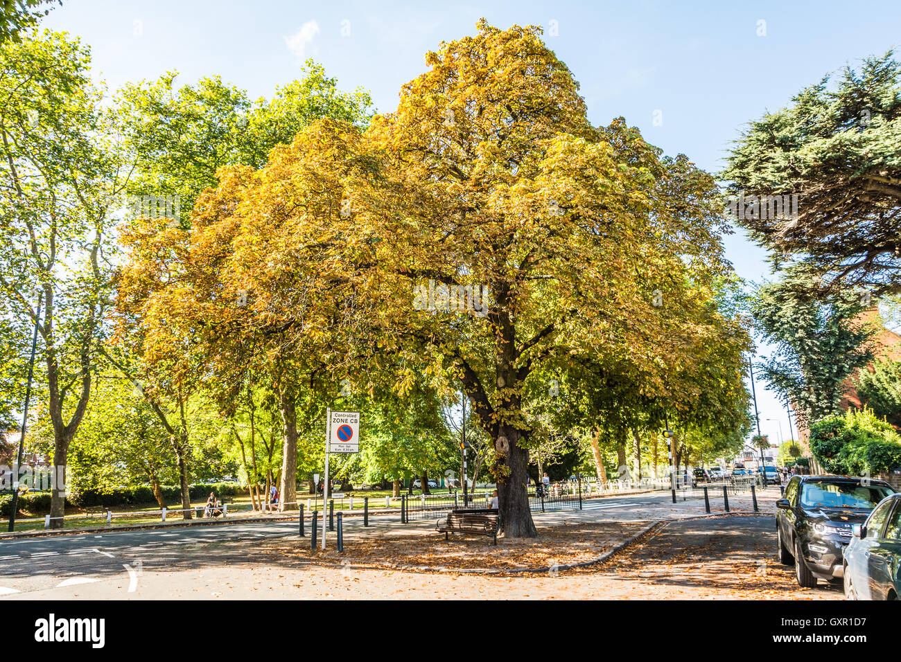 Church Road, Barnes, London, SW13, UK Stockfoto