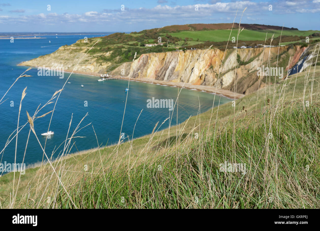 Küste der Isle Of Wight (Vereinigtes Königreich) Stockfoto