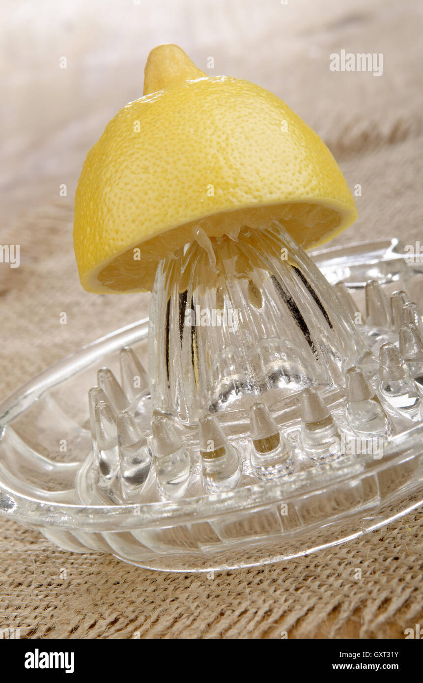 Zitrone auf eine Zitronenpresse Stockfoto