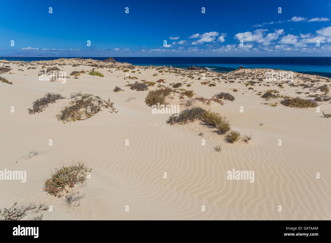 Fuerteventura, Kanarische Inseln, Spanien Stockfoto