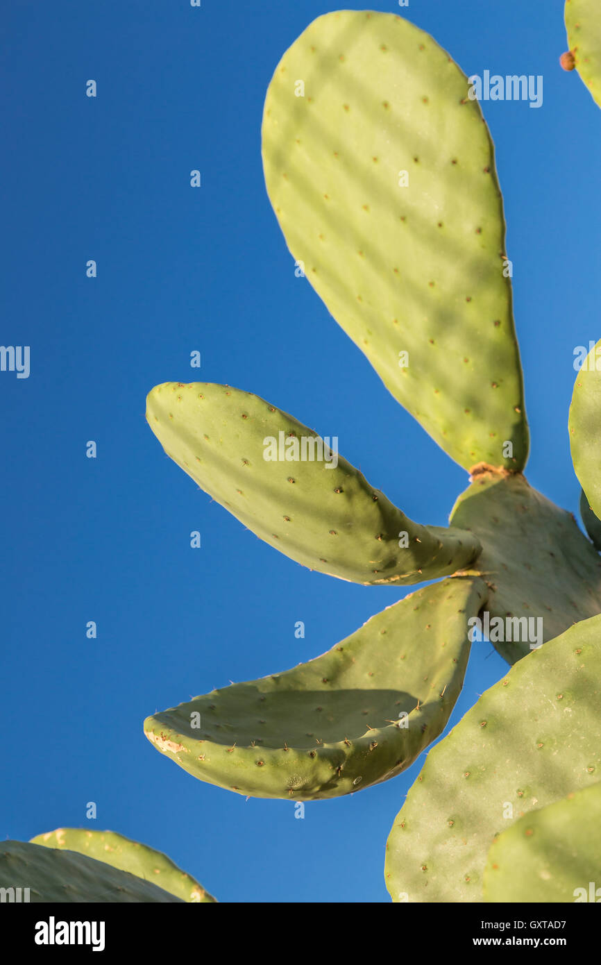 Lanzarote, Kanarische Inseln, Spanien Stockfoto