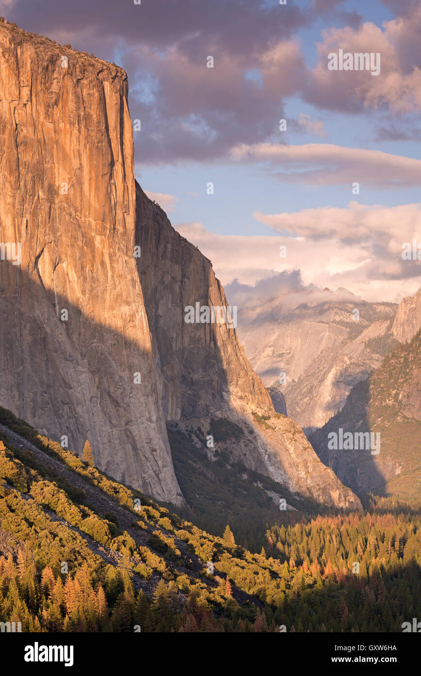 Die enorme Fläche des El Capitan, Yosemite Valley, Kalifornien, USA überragt. Herbst (Oktober) 2015. Stockfoto