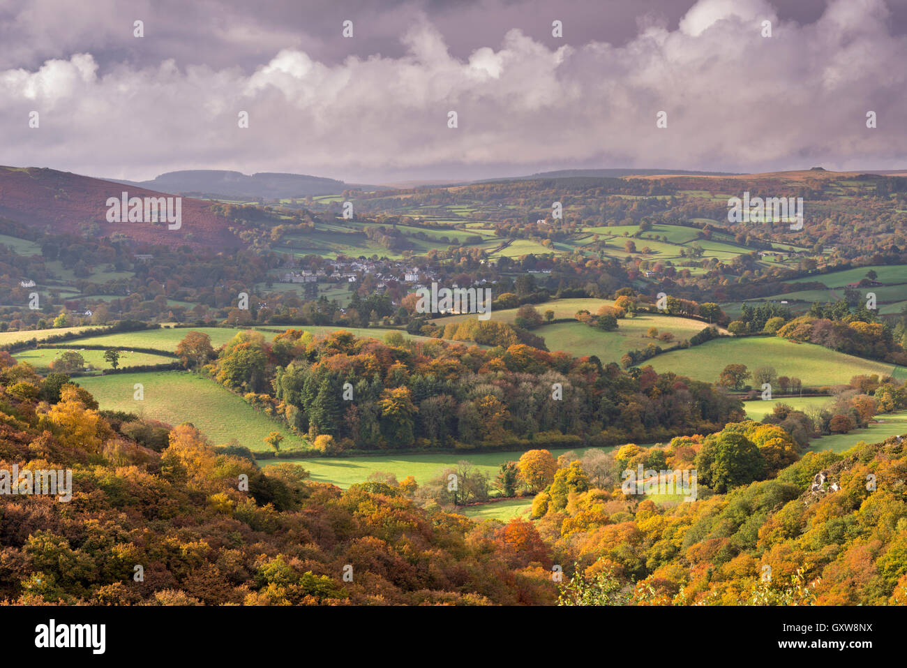 Schöne Herbstfärbung über die hügelige Landschaft des Dartmoor National Park, Devon, England. Herbst (Oktober) 2015. Stockfoto