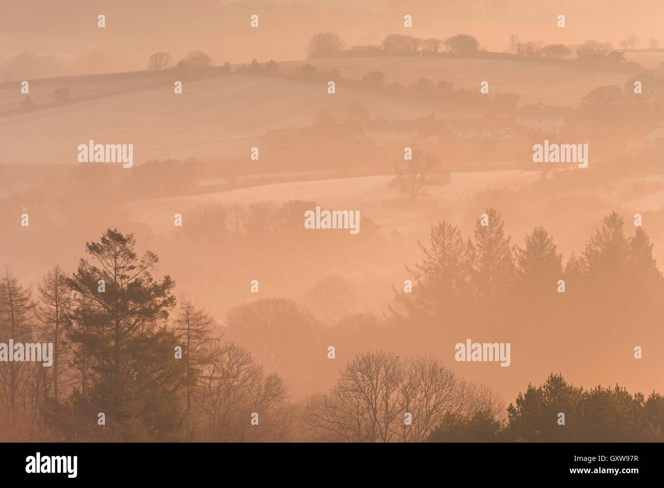 Nebel bedeckt die hügelige Landschaft und Bäume in der Morgendämmerung, Throwleigh, Dartmoor National Park, Devon, England. Frühling (März) 2016. Stockfoto