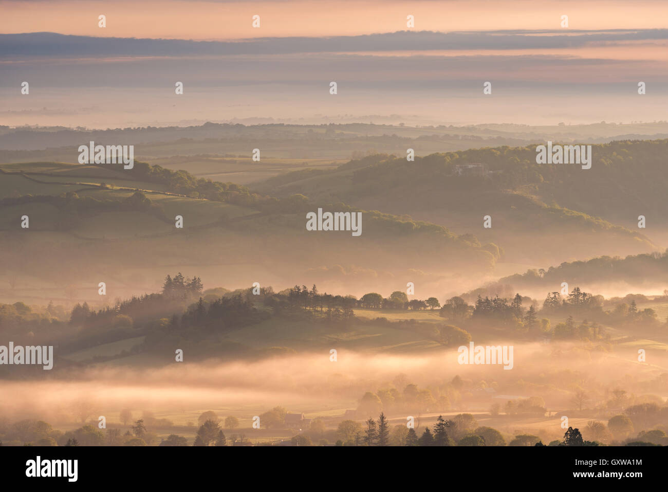 Am frühen Morgensonne und Nebel über der hügeligen Landschaft des Dartmoor National Park, Devon, England. Frühjahr (Mai) 2016. Stockfoto