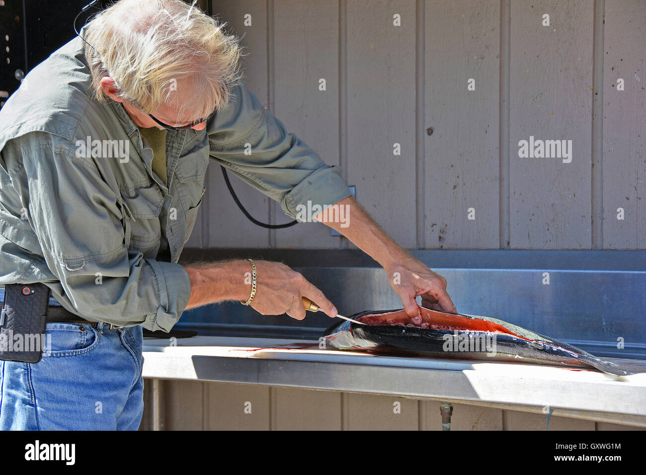 lachs bauch stockfotos und bilder kaufen alamy