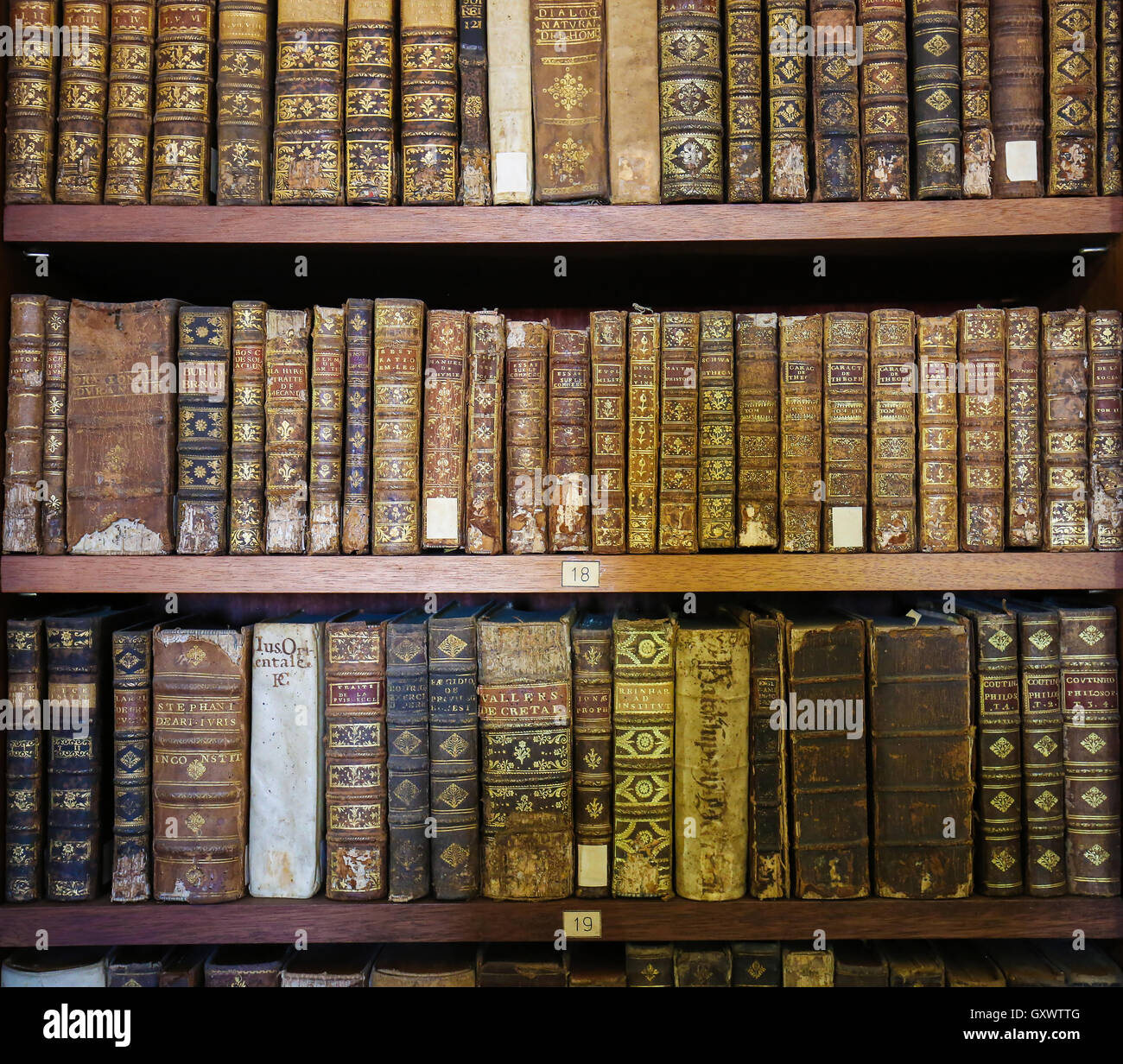 Alte Bücher in der Bibliothek von Coimbra, Portugal Stockfoto