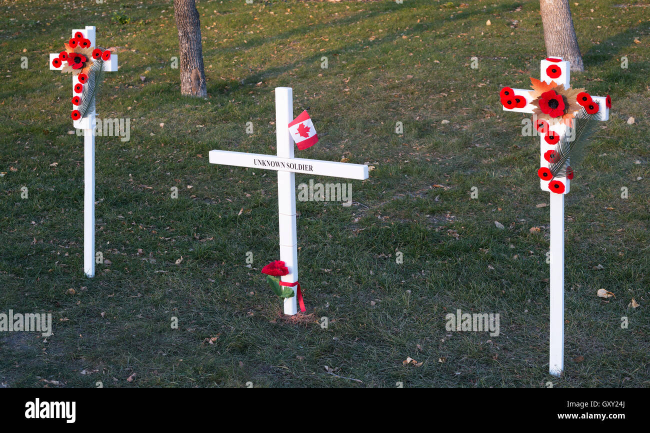 Bereich der Kreuze Denkmal für den unbekannten Soldaten Stockfoto