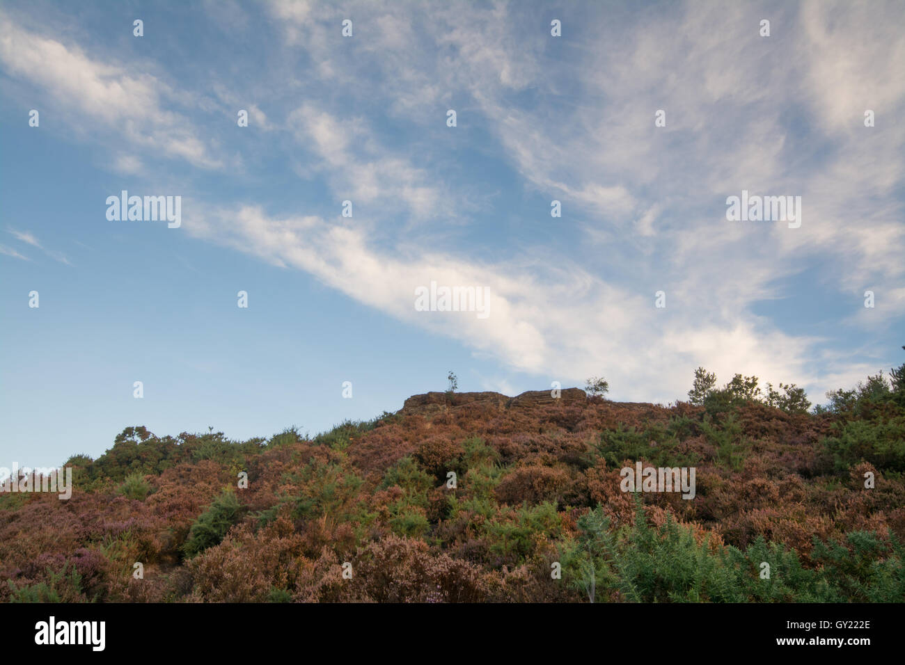 Am frühen Morgen Blick auf steinigen springen (des Teufels Sprünge) bei Frensham Blitze in Surrey, England Stockfoto