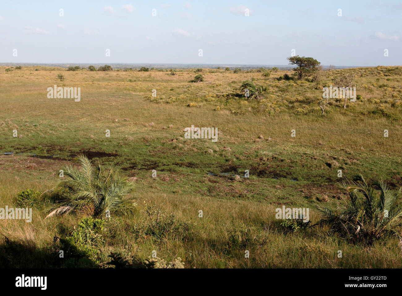 Blick von der Amazibu zu verbergen, Isimangalsio Wetland Park, St. Lucia, Südafrika, August 2016 Stockfoto